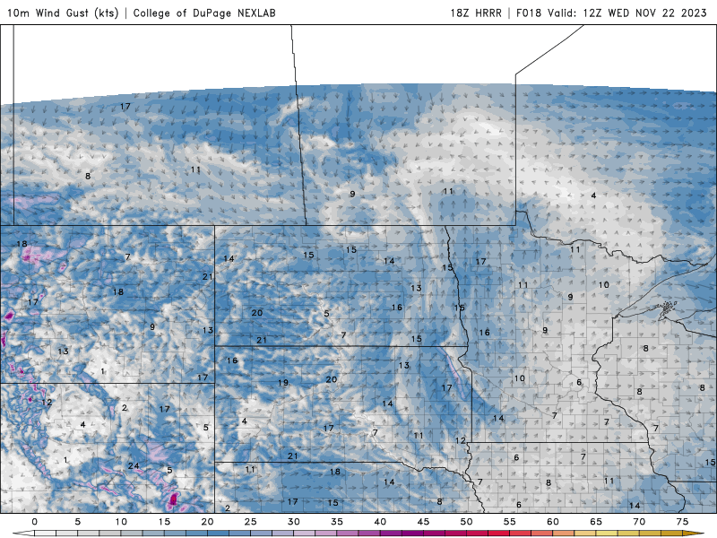 wed winds