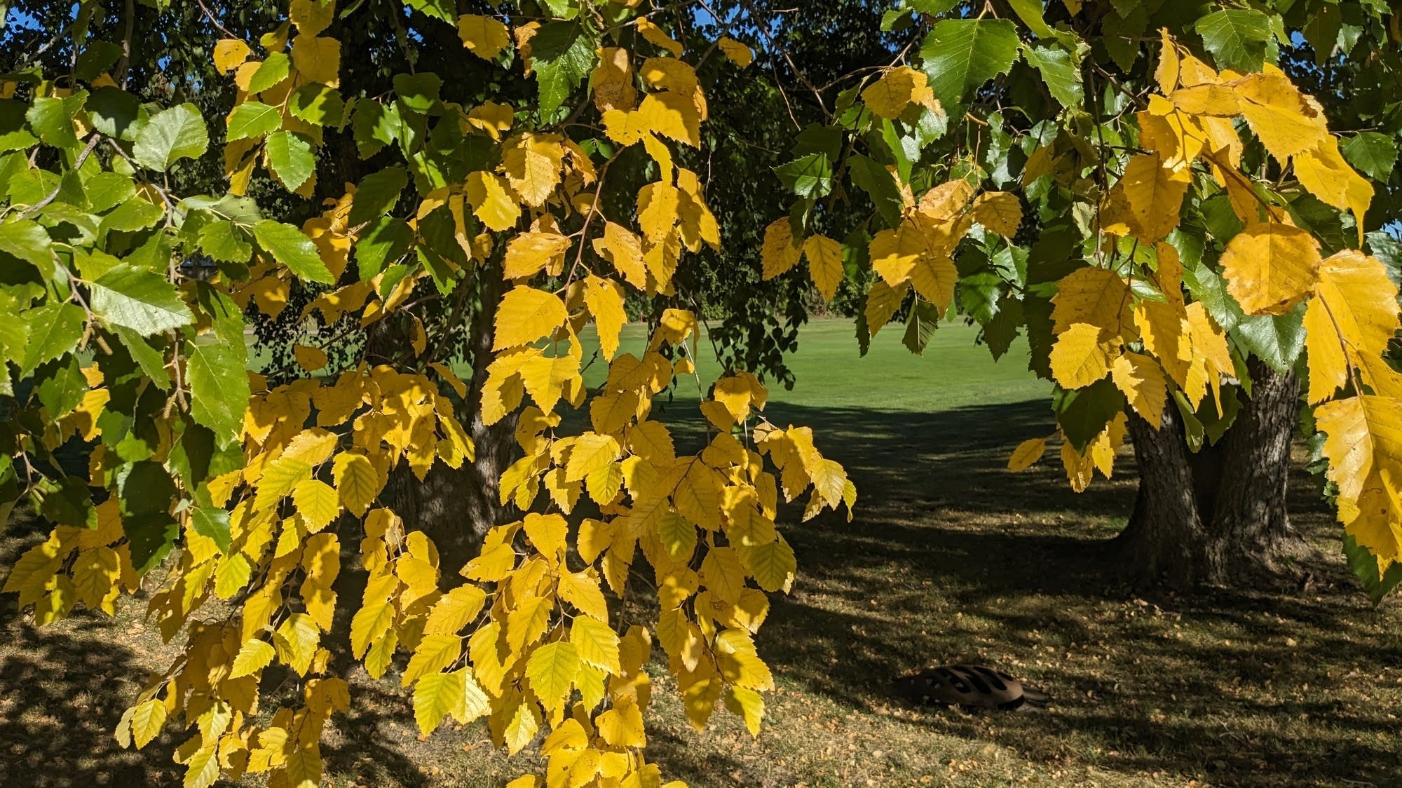 Minnesota's warm start to September coming to an end