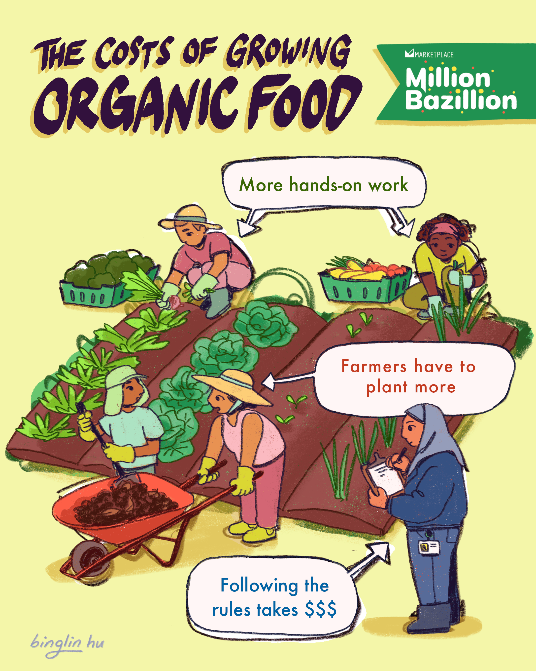 Organic Food Cost