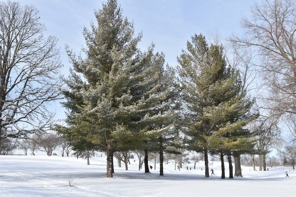 Sunday evening snow; cold temps linger through Wednesday