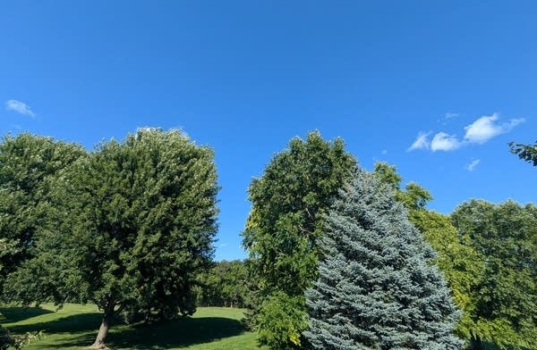 Comfortable humidity for now; steamy again by Friday