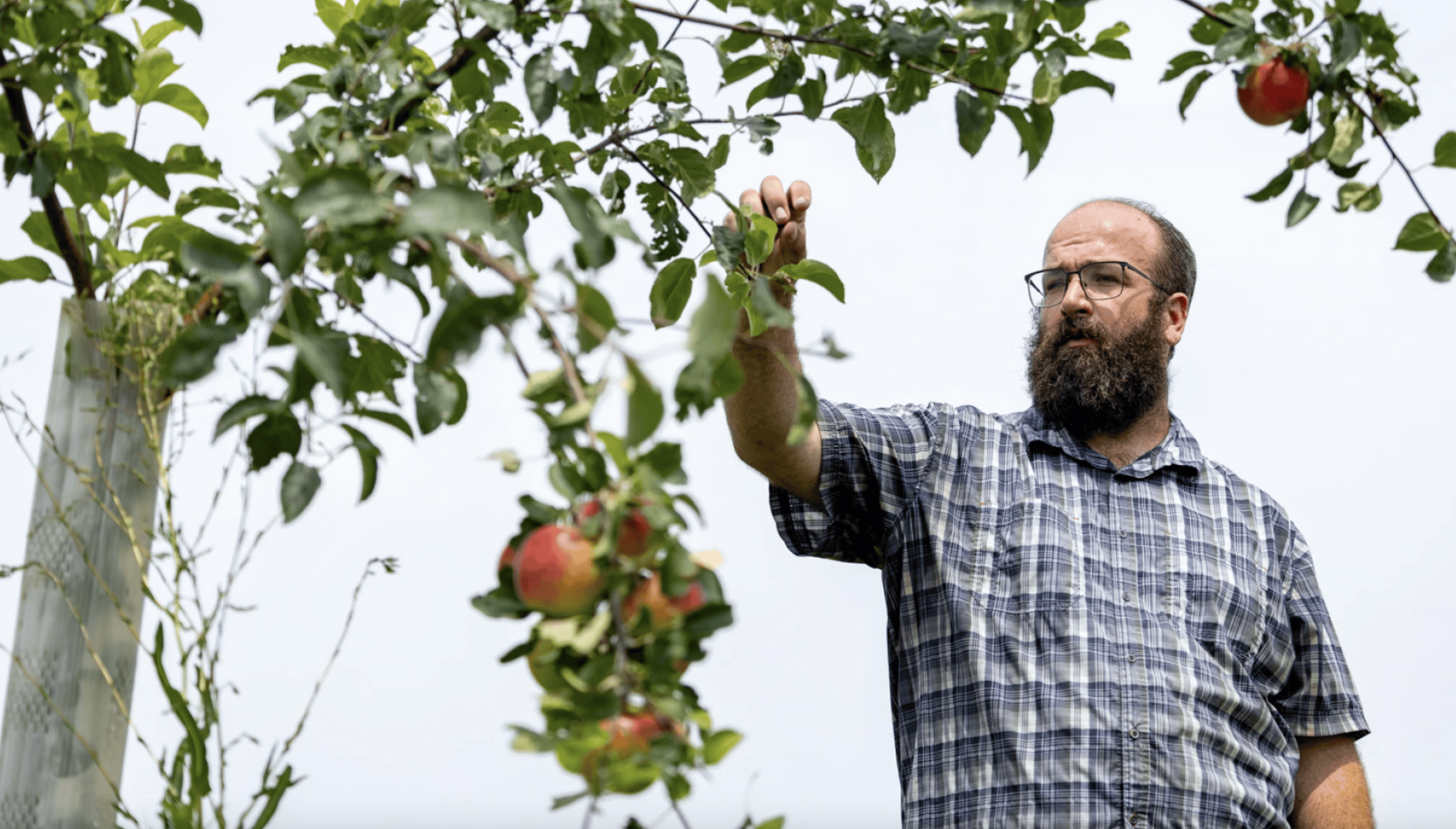 Farmers hurting for help with conservation experts