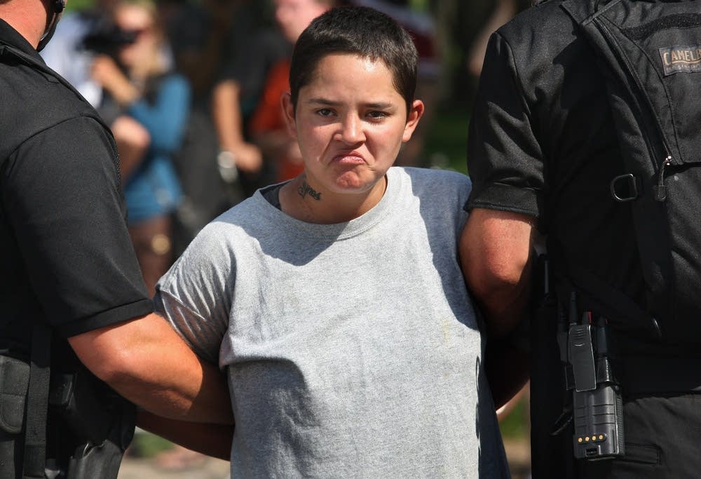 Police arrest activist