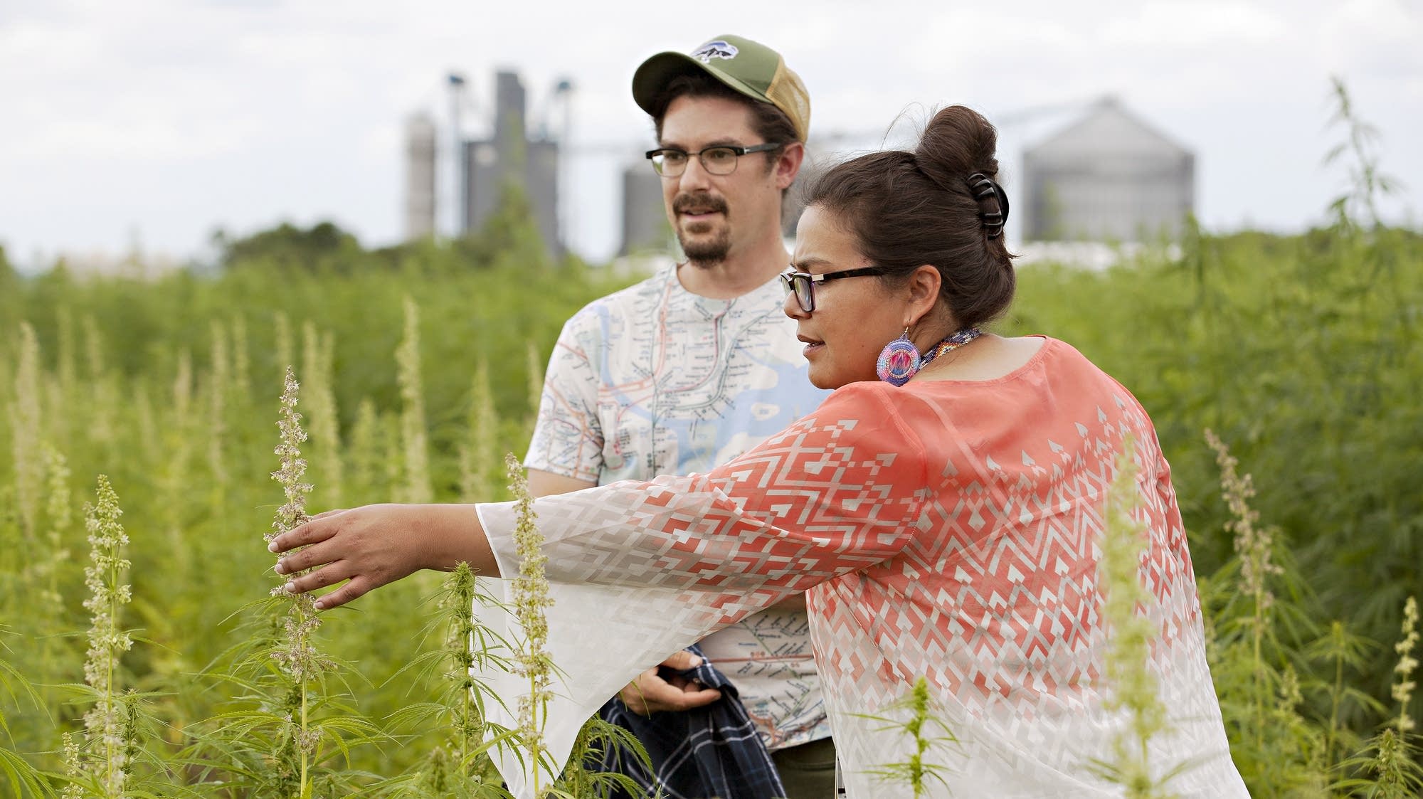 White Earth tribe holds high hopes for hemp MPR News