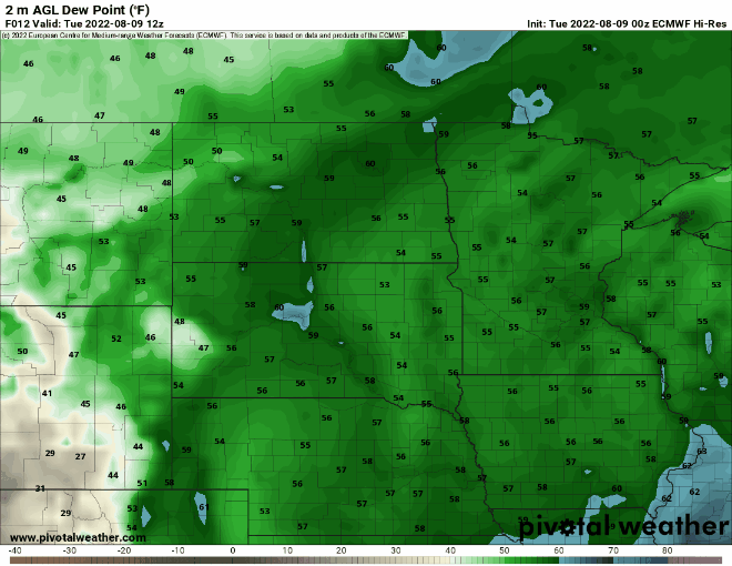 dews forecast