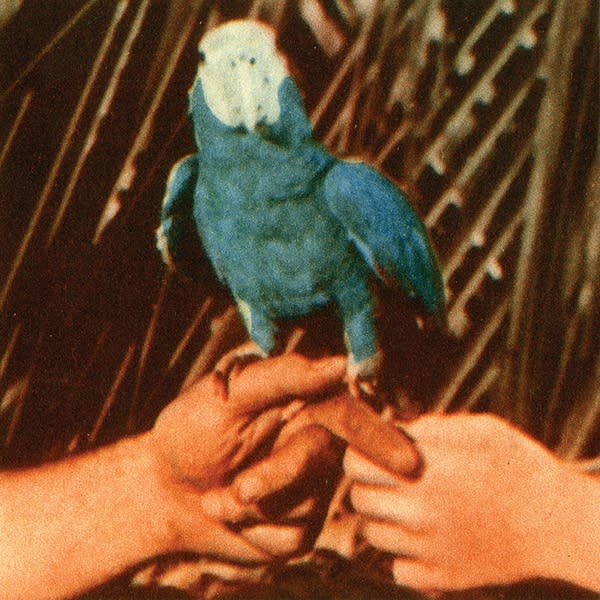 'Are You Serious' is the 10th studio album from Andrew Bird.
