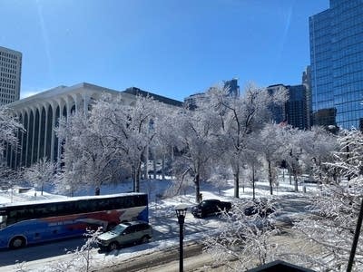 Snow cover trees and buildings 