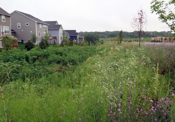 Green space absorbs storm runoff.