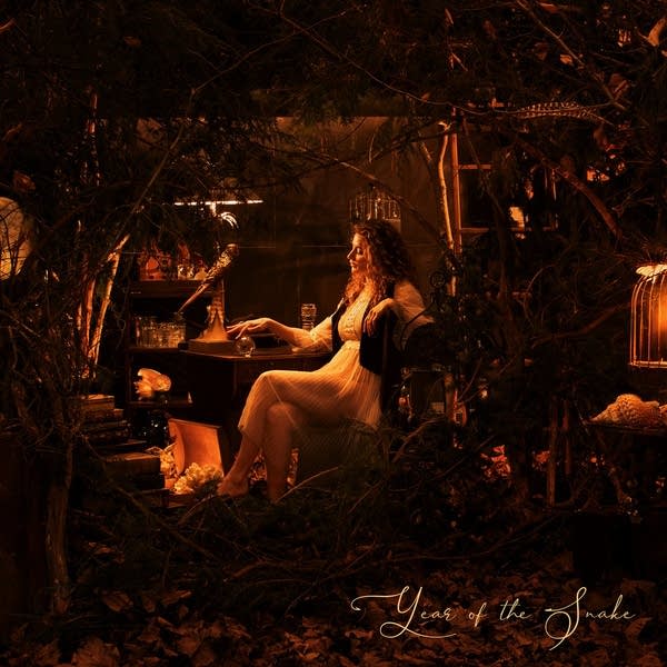 Night Teacher - New Cage