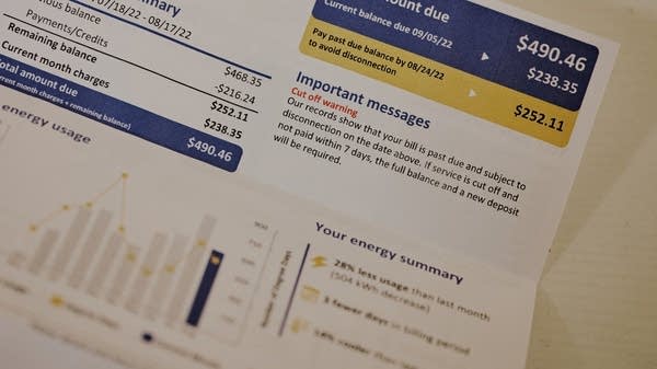 As utilities companies invest in new generation capacity to support increased electricity demand, they pass that on to their rate payers, said Amy Myers Jaffe at NYU.