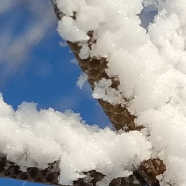 Winter Magic: The beauty of freezing fog, rime ice, and hoar frost | MPR  News