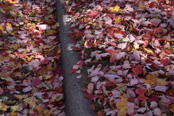 A bright and unusually warm Sunday