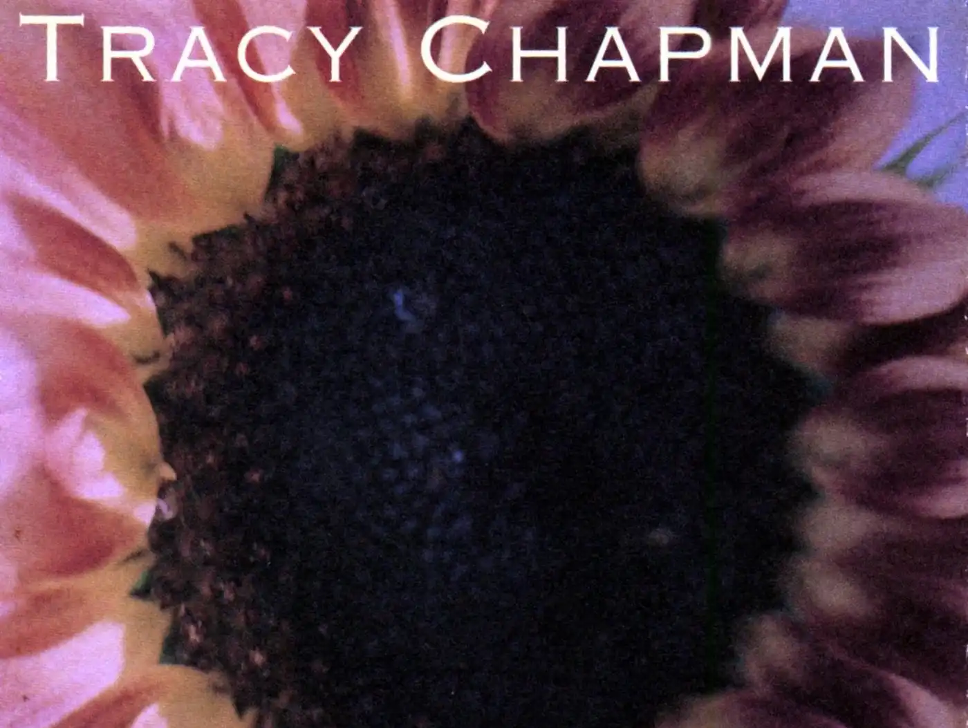 Play, image size:1400x1053