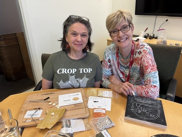 A kernel of peace: MPR News host Cathy Wurzer finds her zen in crop art