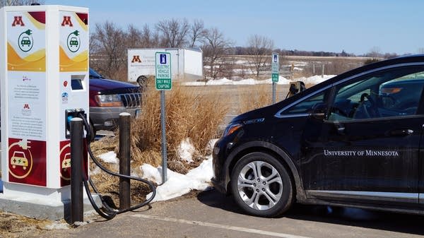 A sign of the future in Morris: Cows + solar panels + fast electric car charger