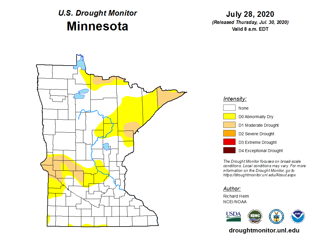 U.S. Drought Monitor for Minnesota