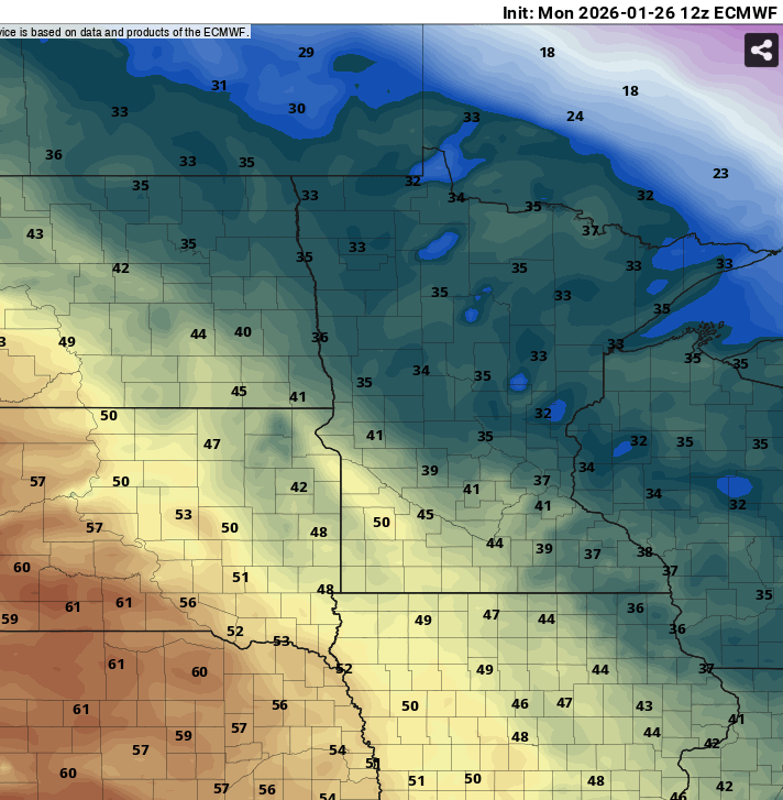 European ECMWF model temperature
