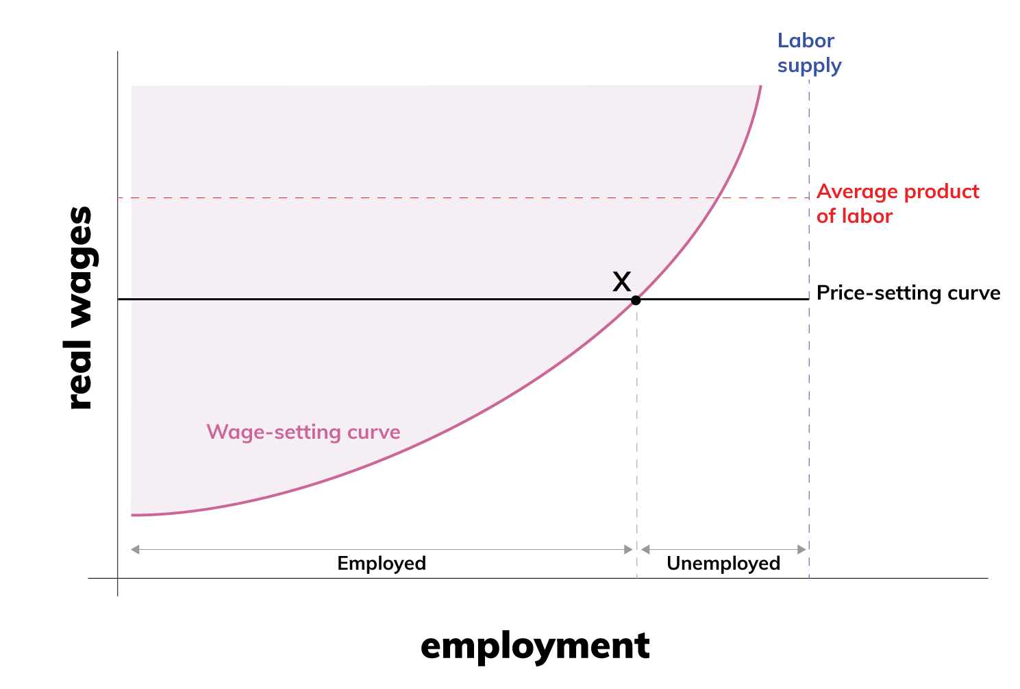 A chart shows the wage-setting curve and price-setting curve together. The x-axis is labeled employment. The y-axis is labeled real wages. A curve, labeled wage-setting curve, slopes upward, indicating real wages increase as employment increases. A horizontal line, labeled price-setting curve, sits…