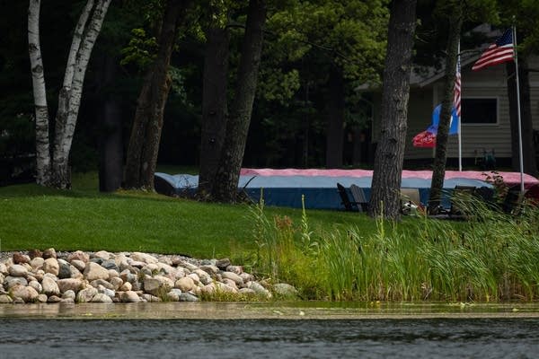 Rocks and reeds line a section of shoreline
