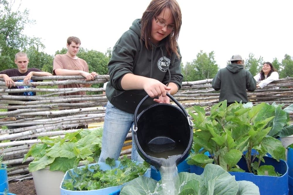 Vegetable garden