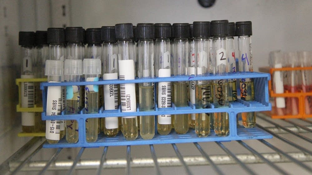 Trump administration scales back threats to cut off funding to Minnesota ag programs