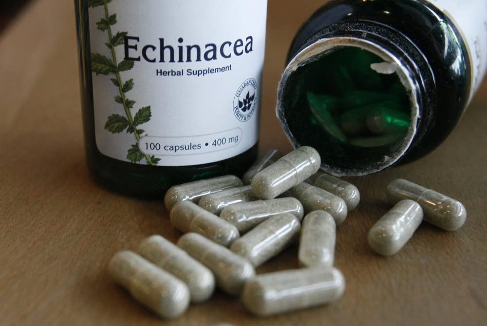 Echinacea