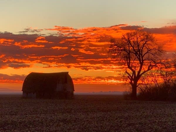 A barn and tree are silhouetted against a colorful sunset sky