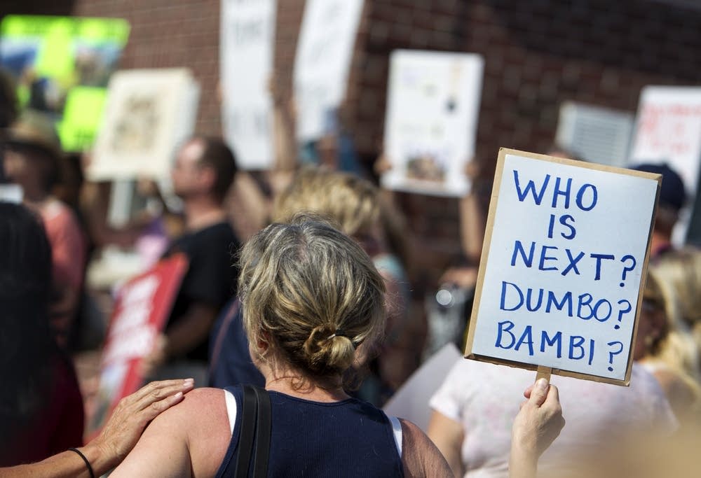 Protesters chanted and posted signs.