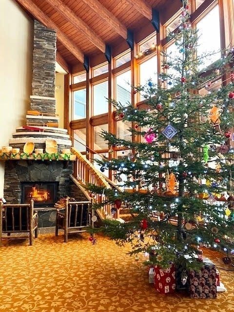 A firepit with a christmas tree.