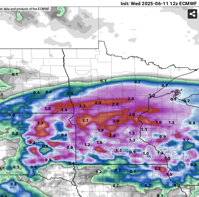 European (ECMWF) model precipitation output