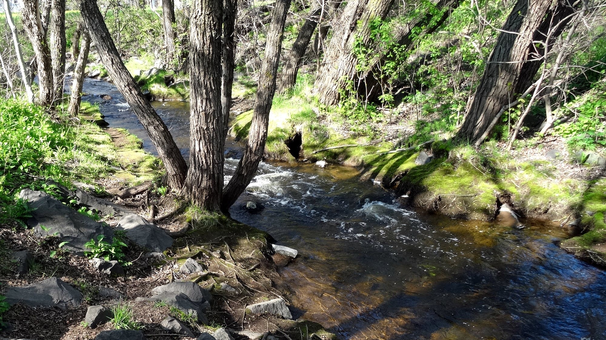Duluth's Keene Creek