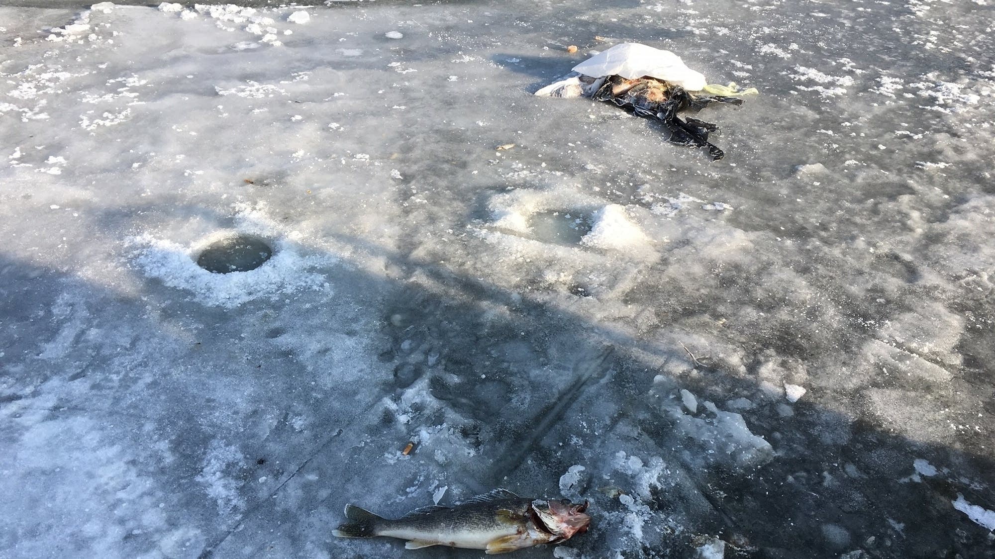 Beer cans, fish guts and more: DNR asks messy anglers to pick up trash ...