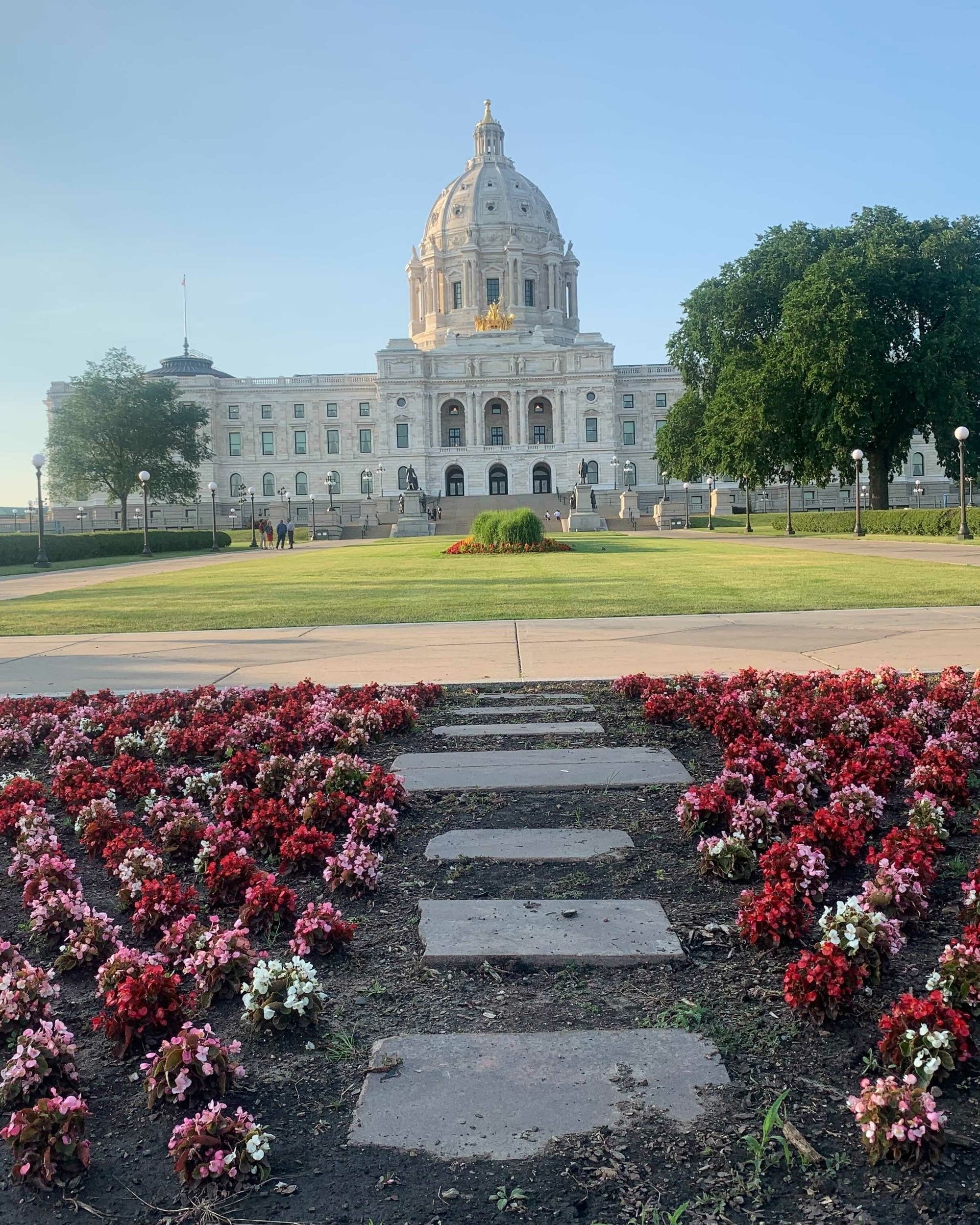 Mn Senate Stays In Session To Review Walz Commissioners Mpr News