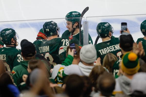 Bruins Wild Hockey