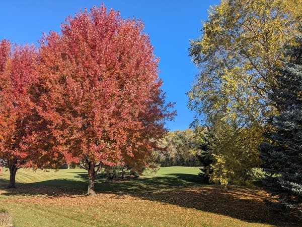 Halloween marks end of fifth warmer-than-average October in a row