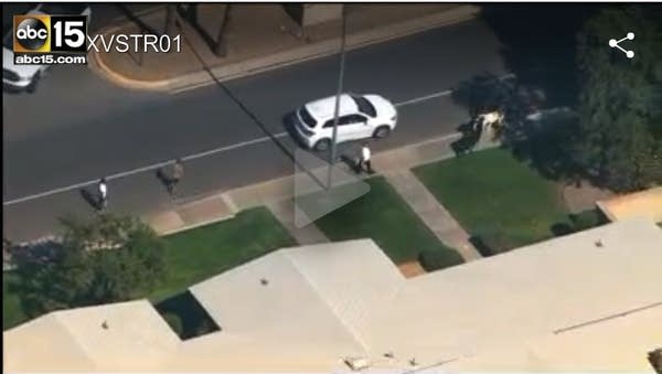 Nation pauses for llamas on the lam