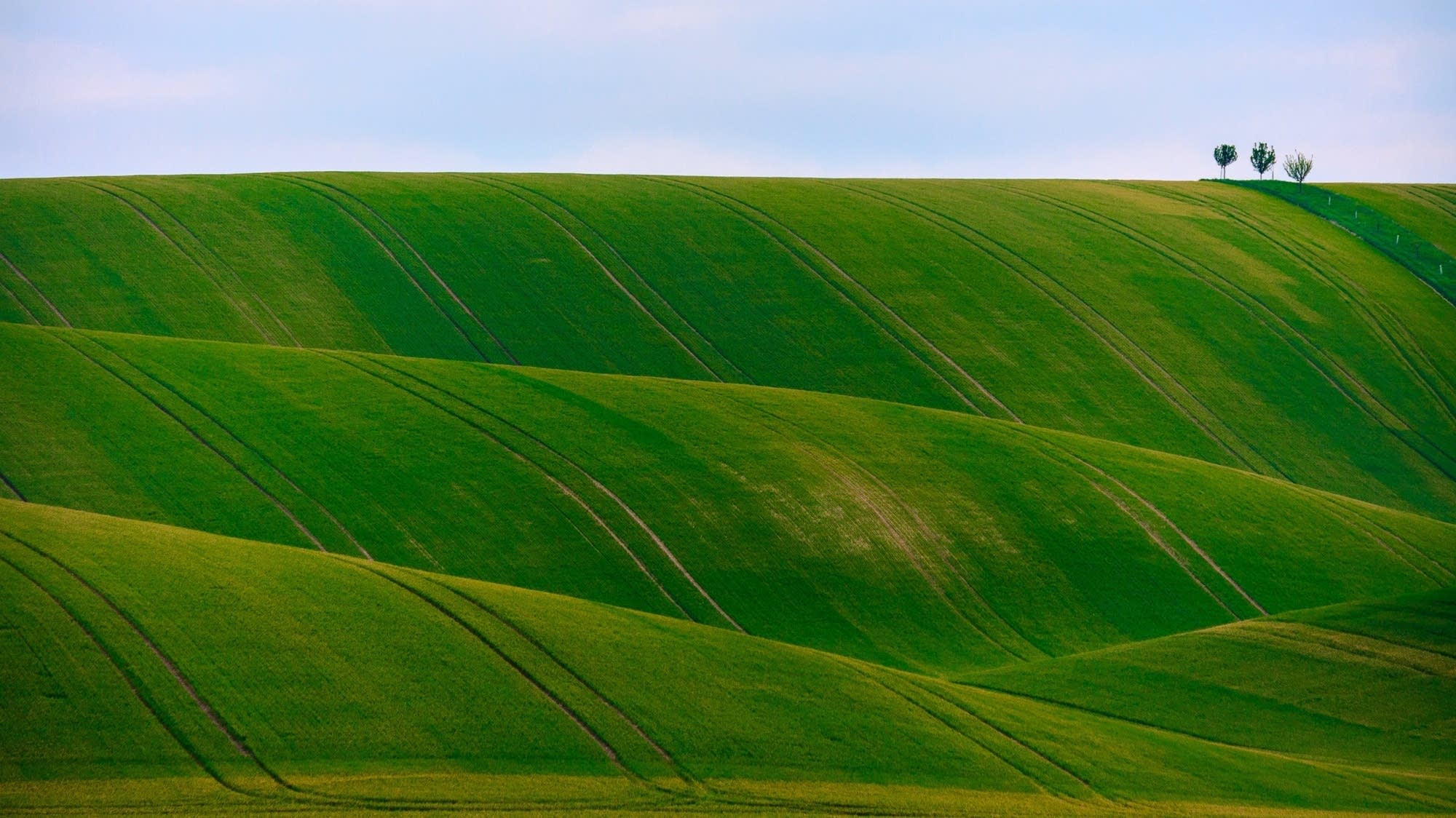 Green hills roll under a blue sky.