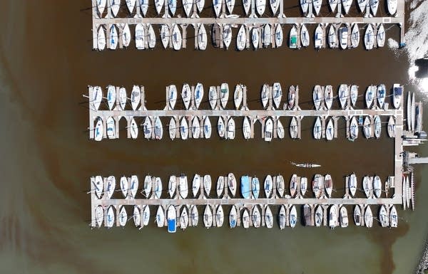 n an aerial view, brownish water from an algal bloom is visible in the Berkeley Marina as boats float near their docks.
