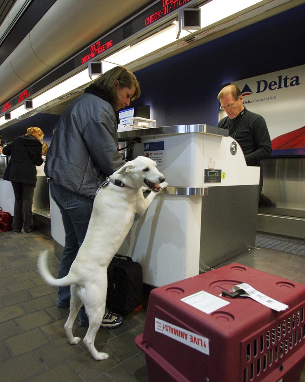 delta pets
