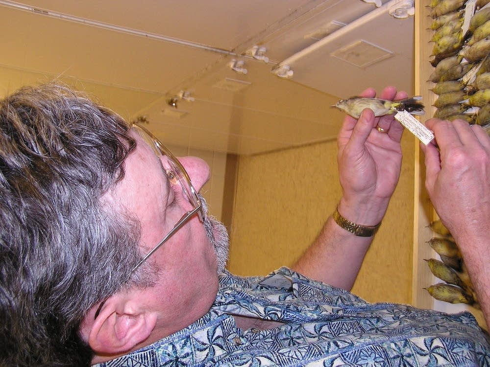 Robert Zink