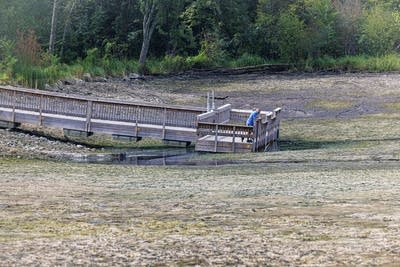 Lake Alice at William O’Brien State park drained.