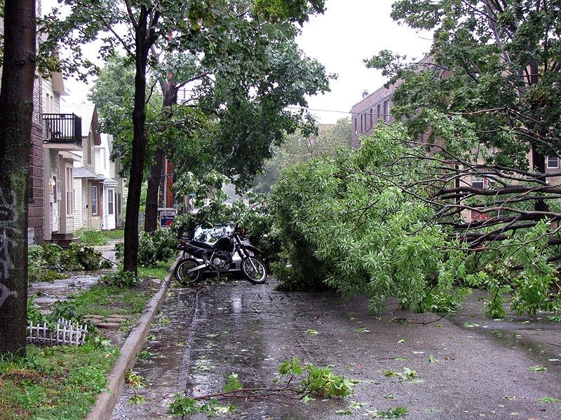Storm damage