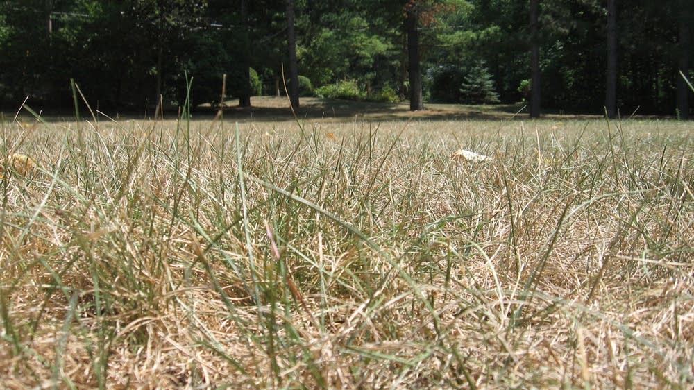 Drought builds north, wraps up southeast