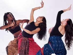 Ananya Dance Theatre presents "Shyamali: Sprouting Words.