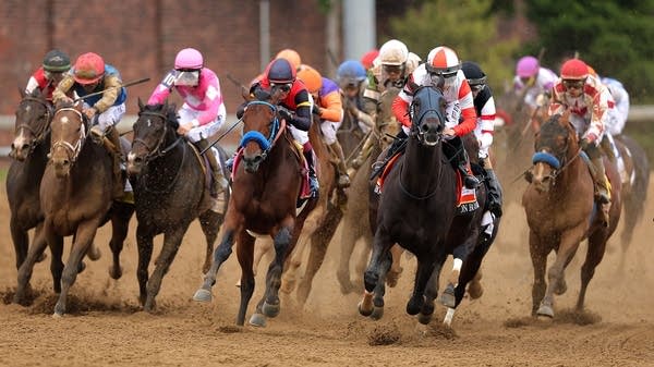 Why you won't find horse racing bets on prediction markets