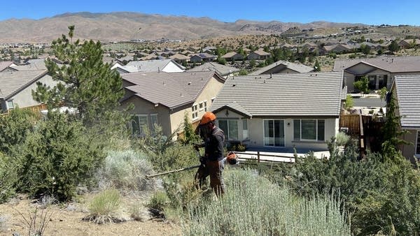Dustin Carlson, a foreman with Wilderness Forestry, uses a high-powered weed trimmer on brush in northwest Reno, Nevada.