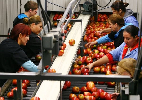 Sorting apples