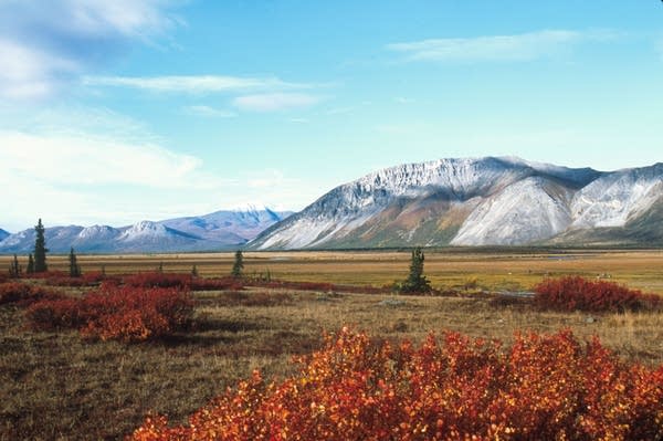 A view of the Arctic National Wildlife Refuge in Alaska.