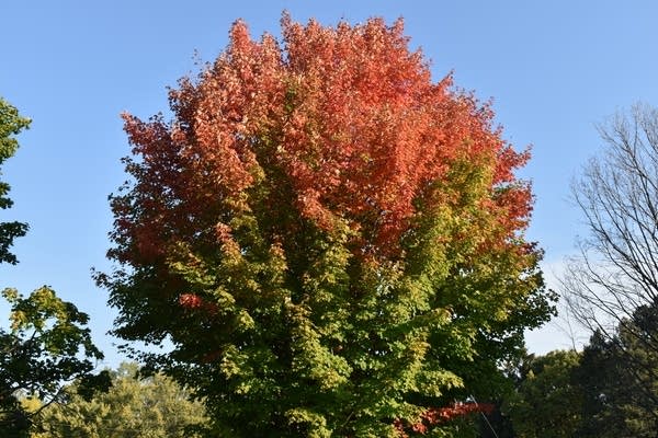 A windy and bright Sunday; chilly start to the week