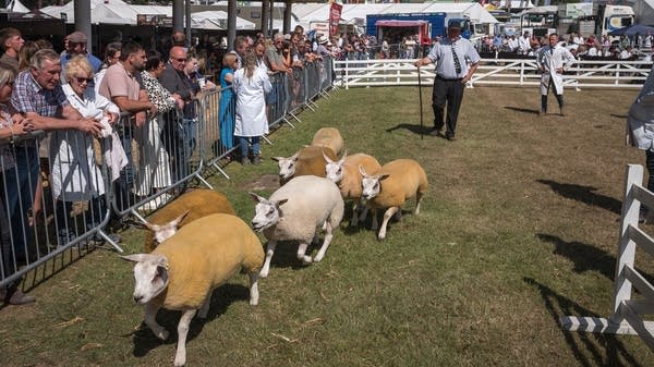 British farmers warn trade deals could threaten livelihoods